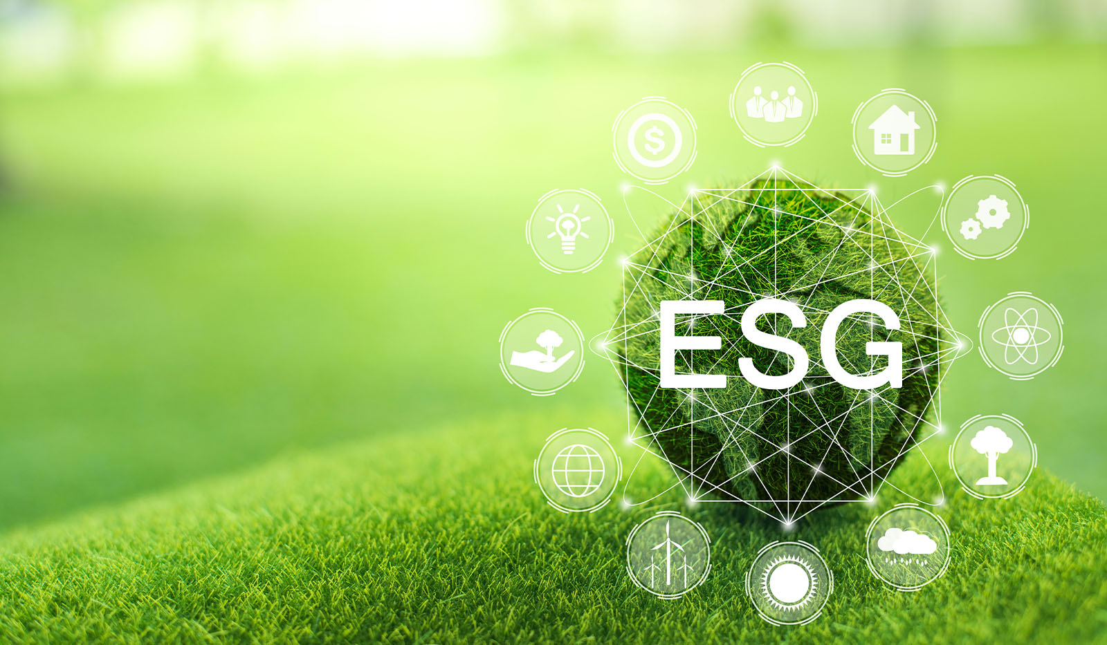 Improving Your Sustainability Practices